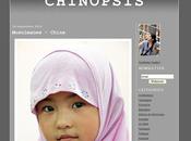 Chinopsis Golden Blogs Awards