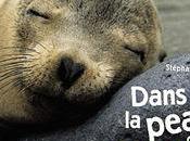 Dans peau animaux Stéphane Frattini