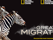 National Geographic Channel partenariat avec présente Great Migration