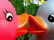 Prix cassoulet 2010 danse canards