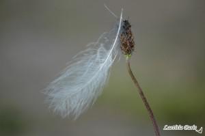 A un enfant de la Terre