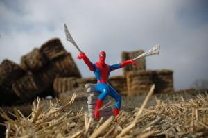 Recadrer une photo pour Internet