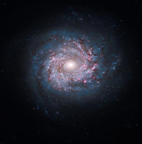 Galaxie spirale NGC 3982