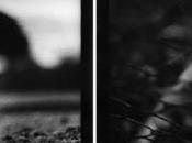 Angkor Photo Festival 2010