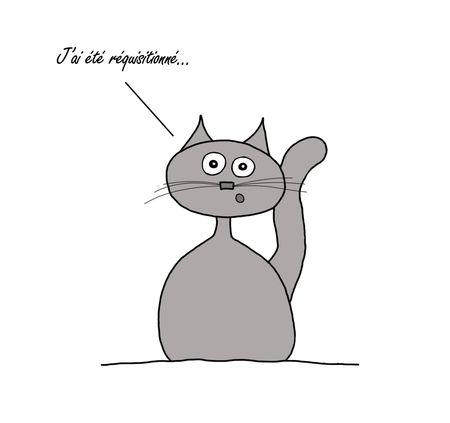 pr_sentation_thriller_et_cheetah_1