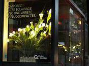 Taxi Hydro-Québec nous illuminent