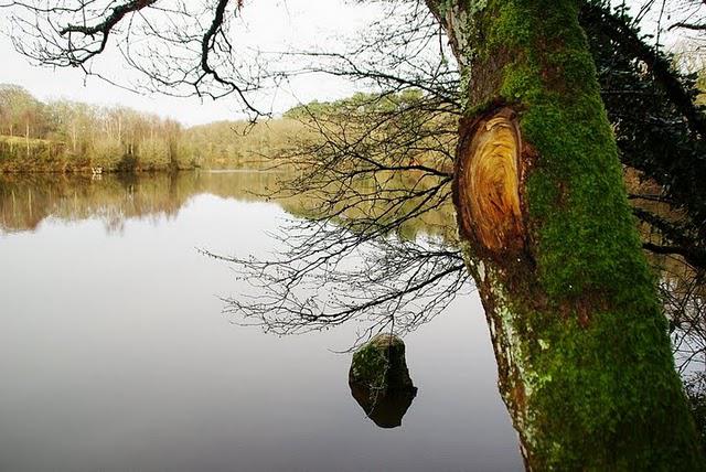 sur l'épaule de l'ange