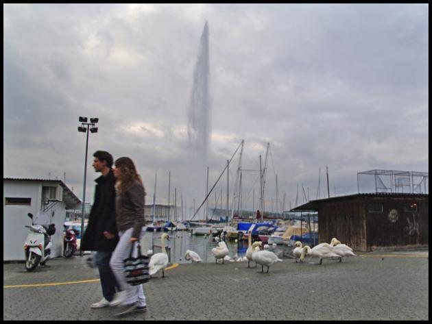 Sans titre-6-ssssss.jpg