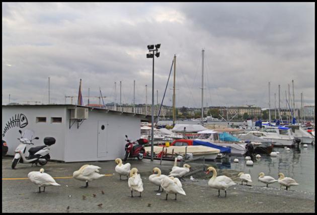 Sans titre-3-ssssss.jpg