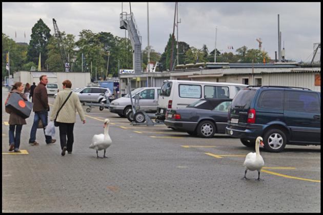 Sans titre-2-ssssss.jpg