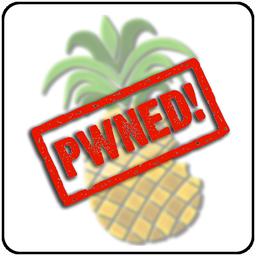 PwnageTool : Jailbreak iOS 4.1 iPhone 3GS/4, iPod Touch 3G/4G disponible !