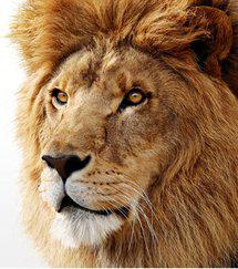 Mac OS X Lion: la puissance de Mac OSX, la magie de l'iPad...