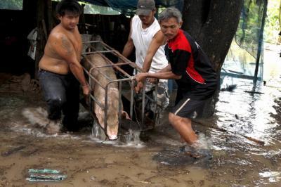 Le peuple de l'eau perd pied totalement!! Le peuple de l'eau perd pied totalement!!