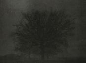 Résurgence, Mustapha Azéroual