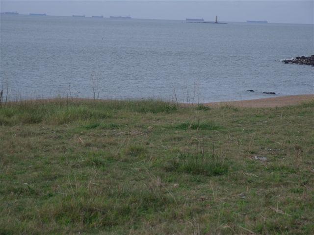 tu trouves pas que ça sent le gaz?