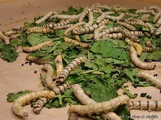 Avec de la soie on peut couvrir un carnet