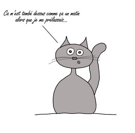 pr_sentation_thriller_et_cheetah_2