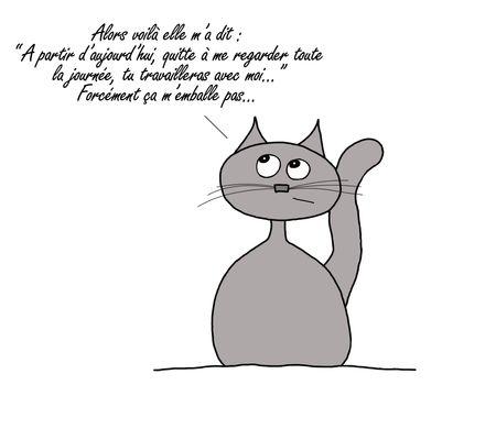 pr_sentation_thriller_et_cheetah_3