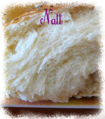 khohbz_dar_de_myriram_2