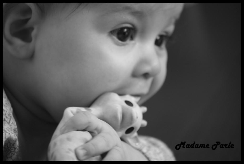 La girafe Sophie, je craque et je te croque