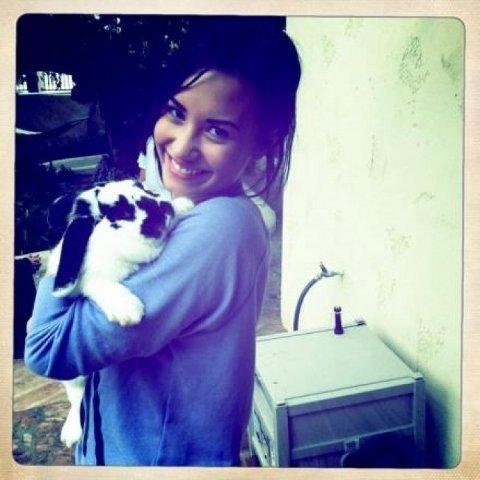 Demi Lovato ... Trop mignonne avec son lapin