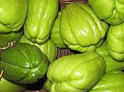 Christophines Chayottes