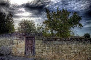 LE PUY-NOTRE-DAMEentre deux tournesols