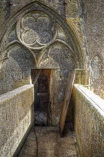 LE PUY-NOTRE-DAMEentre deux tournesols