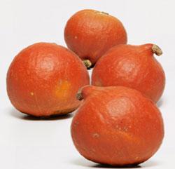 Mon pote le potimarron