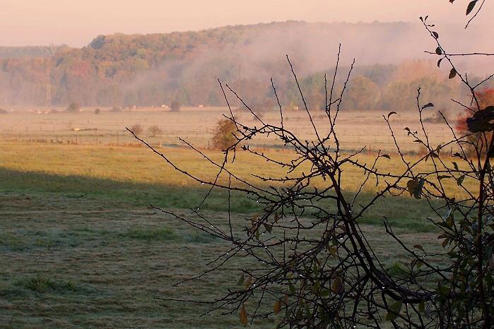 Petite comptine de saison