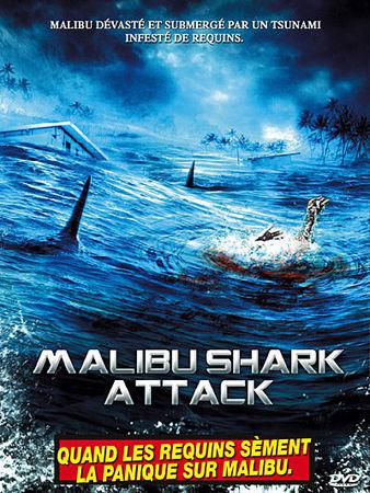 malibu_shark_attack_2
