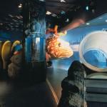 aquarium barcelone explora 150x150 LAquarium de Barcelone (Aquarium BCN)