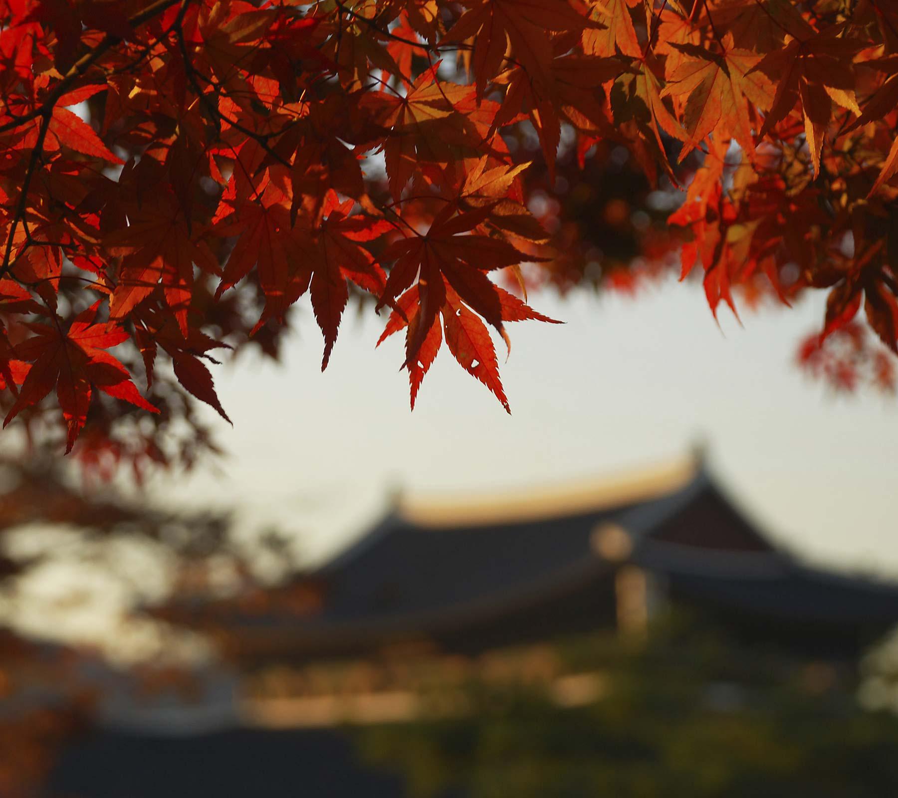 Je souhaiterais vous faire part d'un album qui vient de changer ma vie