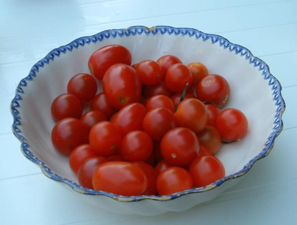 http://photo.ortho.free.fr/images/fruits_legumes/tomates_cerises.jpg