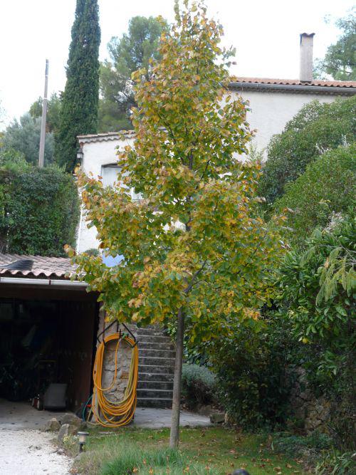 L'automne s'installe... : journal du 24 septembre 2010