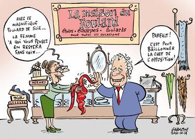 Caricatures : semaine du 17 octobre 2010