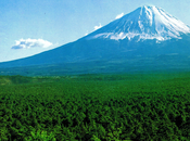 Aokigahara(青木ヶ原), lieu plus hanté Japon