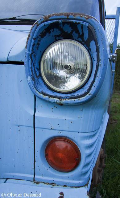 bleu des champs