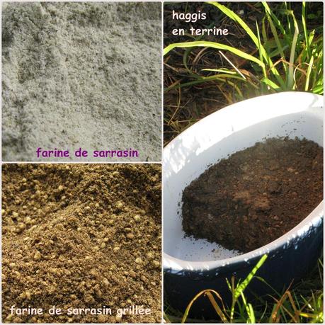 bento escale au Royaume-Uni et surtout en Écosse