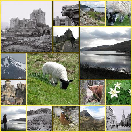 bento escale au Royaume-Uni et surtout en Écosse