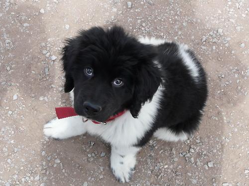 tumblr l1u5ski5jX1qb8fexo1 500