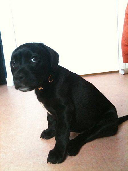 tumblr l1k08ypGUa1qb8fexo1 500