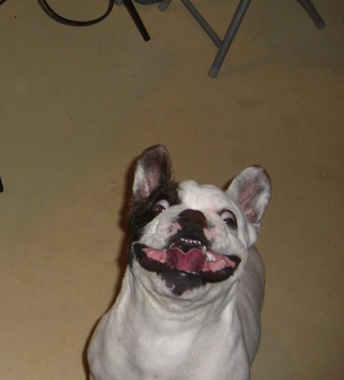 tumblr l928tm2LMm1qb8fexo1 500