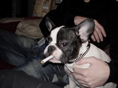 tumblr l8bz7bx2Gk1qb8fexo1 500