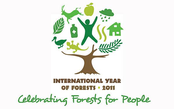 annee international forets 1 2011 : Année international des forêts !