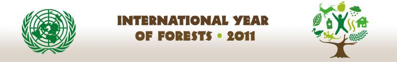 2011 année foret 2011 : Année international des forêts !