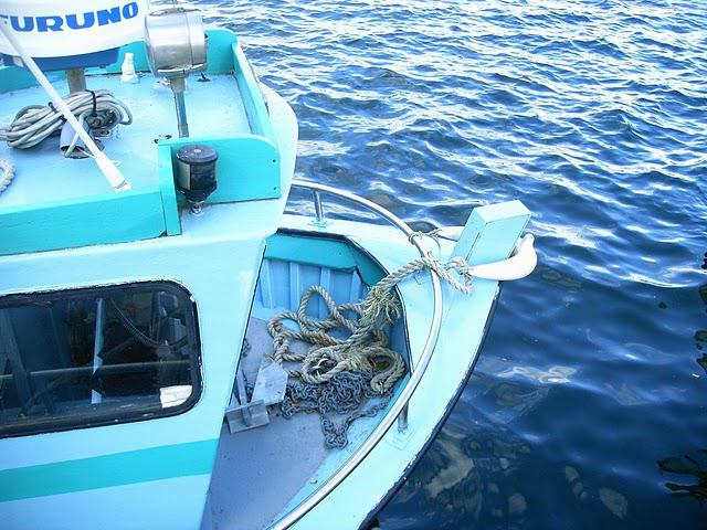 sous le signe du poisson