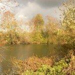 Les bords de Meuse à Pont-sur-Meuse