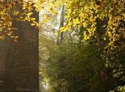 Eulmont (54) tour Crâny mystères