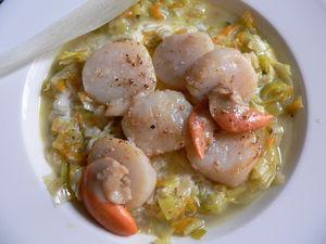 chat_et_saintjacques_002